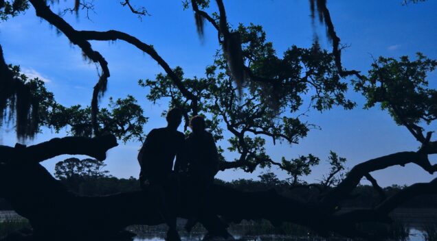 Edisto Beach State Park, SC